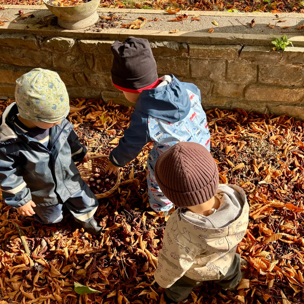 Drei Kinder spielen in einem Haufen getrockneter Blätter. Ein Kind trägt einen blauen Mantel und hält einen Korb, während die anderen beiden Mützen tragen und die Blätter betrachten.
