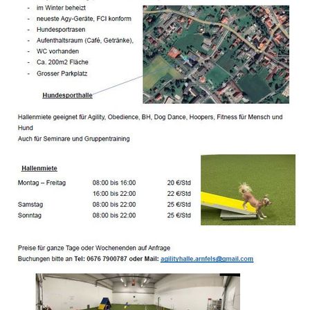 Page, Text, Grass, Plant, Advertisement, Play Area, Outdoors, Dog, Airport, Building
