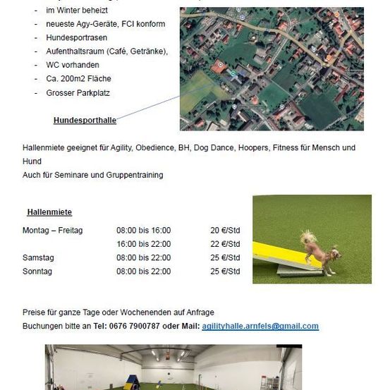 Page, Text, Grass, Plant, Advertisement, Play Area, Outdoors, Dog, Airport, Building