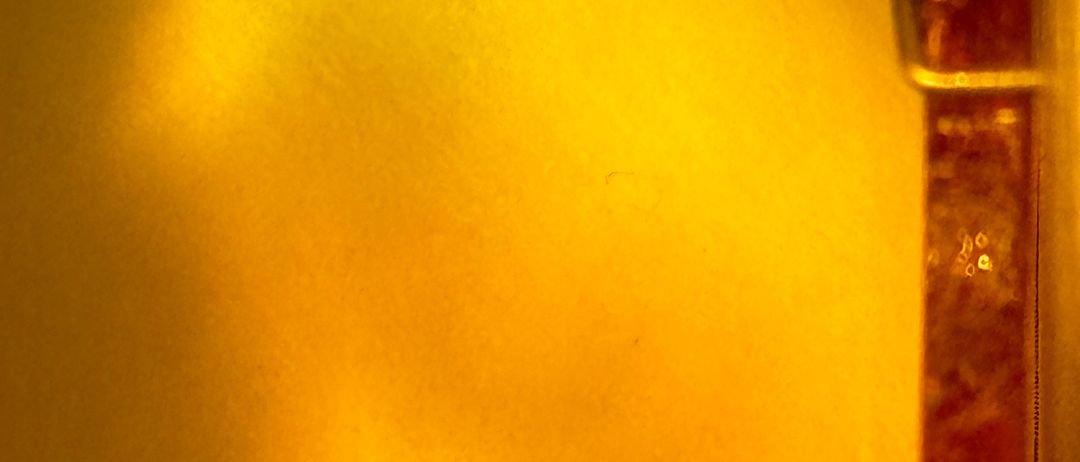 Bernsteinzimmer(c)BirgitSauerBildrechtWien2024