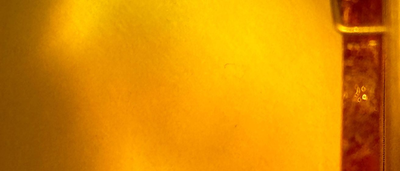 Bernsteinzimmer(c)BirgitSauerBildrechtWien2024