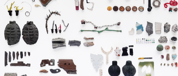 Bild enthält, Animal, Sea Life, Turtle, Grenade, Weapon, Accessories, Earring, Jewelry, Person, Bird