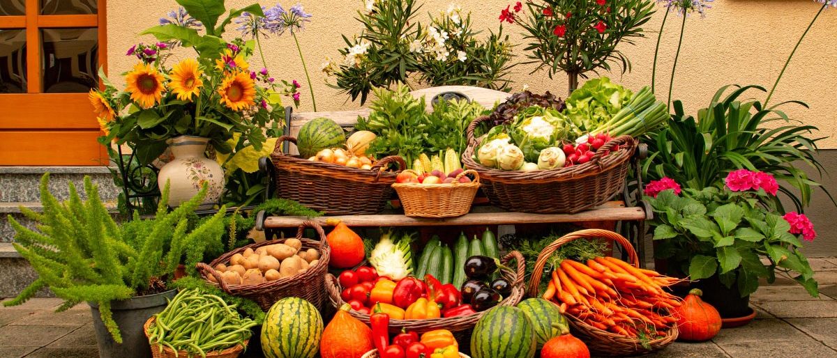 Bild enthält, Plant, Food, Fruit, Produce, Nature, Outdoors, Melon