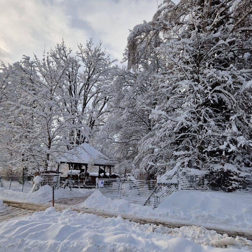 Eine Winterlandschaft mit einem von Schnee bedeckten Pavillon, umgeben von schneebedeckten Bäumen und einem eingezäunten Bereich. Der Boden und ein Weg sind mit Schnee bedeckt.
