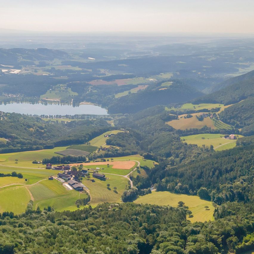 Bild enthält, Outdoors, Nature, Land, Vegetation, Woodland, Countryside, Aerial View, Sky, Scenery, Rural