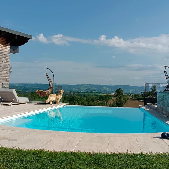 Bild enthält, House, Housing, Villa, Pool, Water, Swimming Pool, Outdoors, Dog, Pet, Backyard