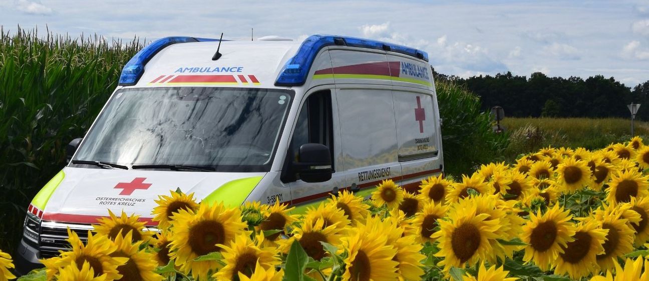 v1_migrated_image_62216114