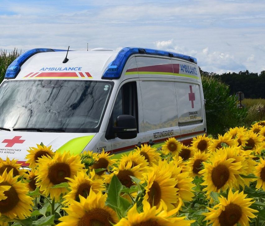 v1_migrated_image_62216114