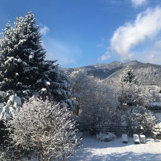 Eine verschneite Landschaft mit blauem Himmel, schneebedeckten Bergen und einem Haus in der Ferne. Im Vordergrund befinden sich schneebedeckte Bäume und Sträucher.