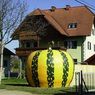 Neighborhood, House, Housing, Villa, Shelter, Food, Produce, Gourd