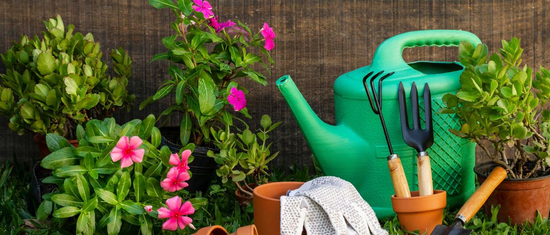 Bild enthält, Garden, Nature, Outdoors, Glove, Gardening, Interior Design, Plant, Shovel, Flower, Gardener