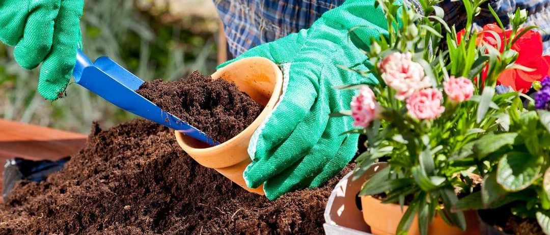 Bild enthält, Garden, Nature, Outdoors, Gardening, Gardener, Person, Soil, Plant