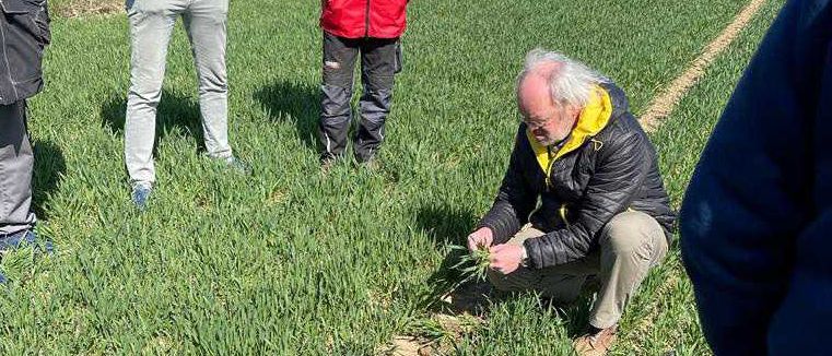 Bild enthält, Grass, Coat, Jacket, Adult, Male, Man, Person, People, Jeans, Outdoors