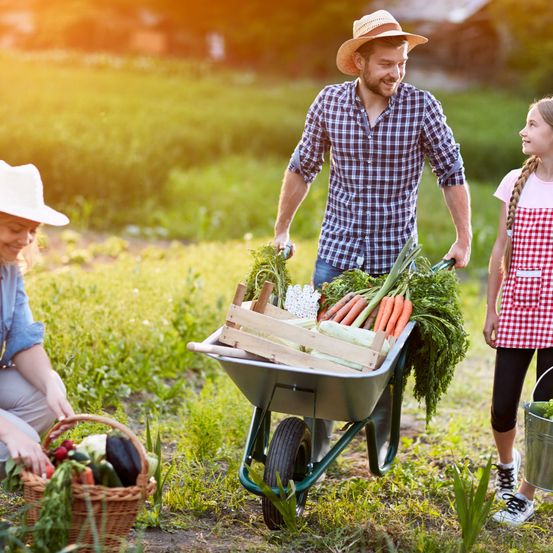 Bild enthält, Garden, Female, Girl, Person, Teen, Gardening, Adult, Woman, Male, Man