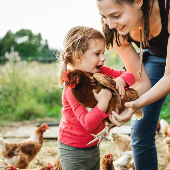 Bild enthält, Adult, Female, Person, Woman, Bird, Chicken, Child, Girl, Head, Face