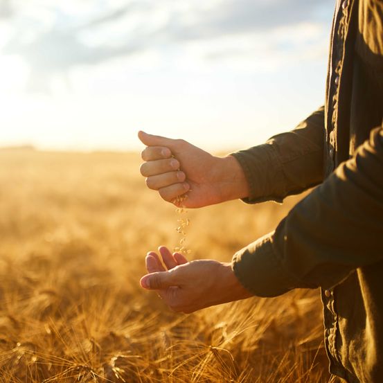 Bild enthält, Finger, Hand, Person, Adult, Male, Man, Nature, Outdoors