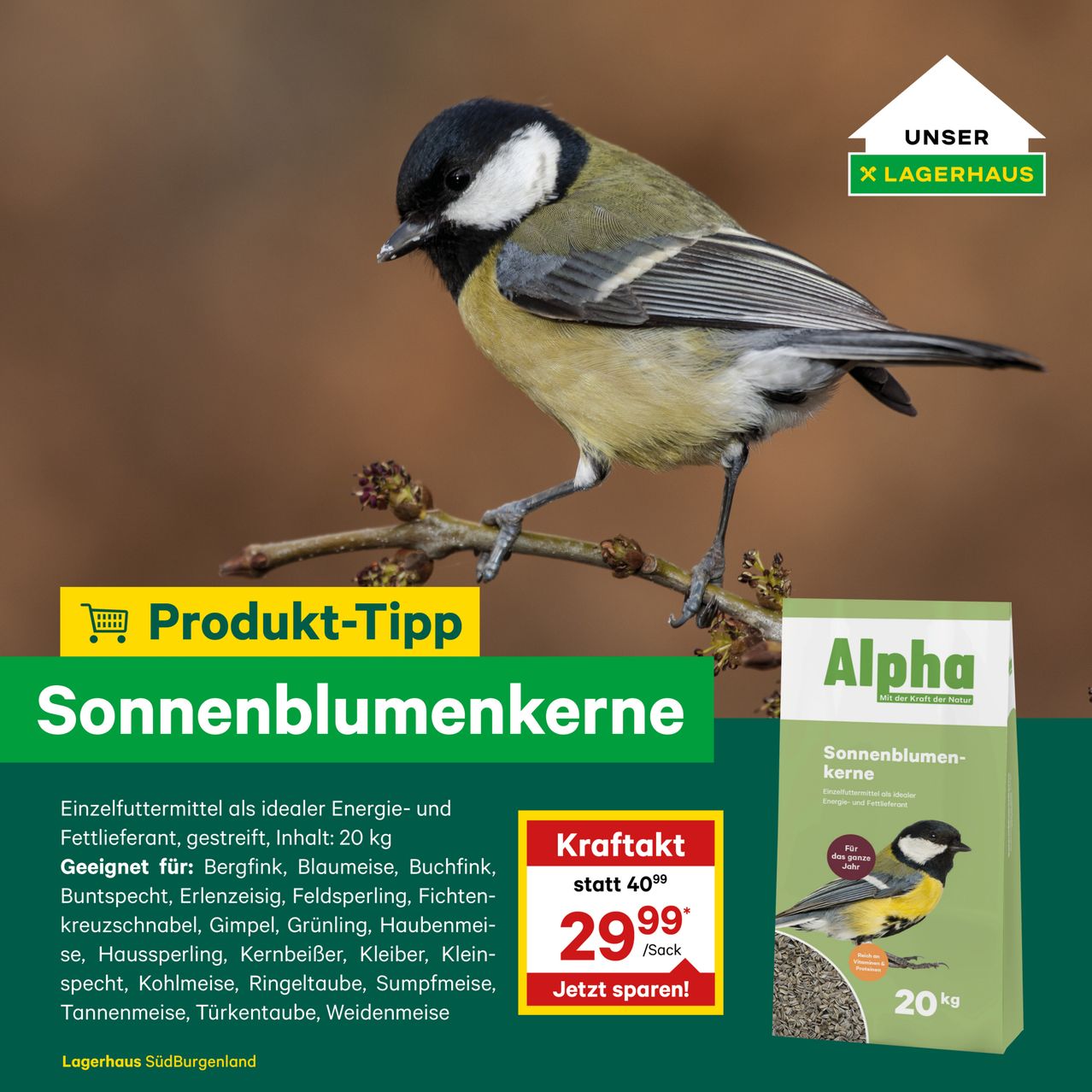Bild enthält, Advertisement, Poster, Animal, Bird, Finch