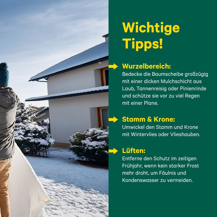 Ein Infographic zeigt Winterpflegetipps für Bäume. Es hebt das Abdecken des Wurzelbereichs mit Mulch, das Umwickeln des Stamms und der Äste und das Entfernen der Abdeckung im Frühling hervor.