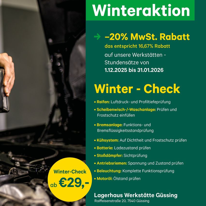 Werbung für Winterwartung mit 20% MwSt.-Rabatt, gleichbedeutend mit 16,67% Rabatt, vom 1. Dezember 2025 bis 31. Januar 2026. Beinhaltet Dienstleistungen wie Bremsencheck, Bremsflüssigkeitsstandprüfung, Kühlsystemcheck und Batterieladezustandsprüfung. Zum Preis von 29 Euro.
