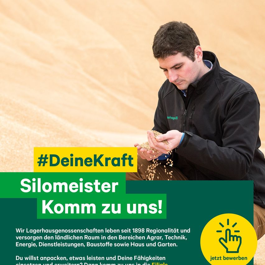 Ein Mann untersucht Körner in einem Feld und wirbt für Silomeister. Das 1898 gegründete Unternehmen bietet regionale Dienstleistungen in Landwirtschaft, Technik, Energie und Bau an. Es lädt qualifizierte Personen ein, sich zu bewerben.