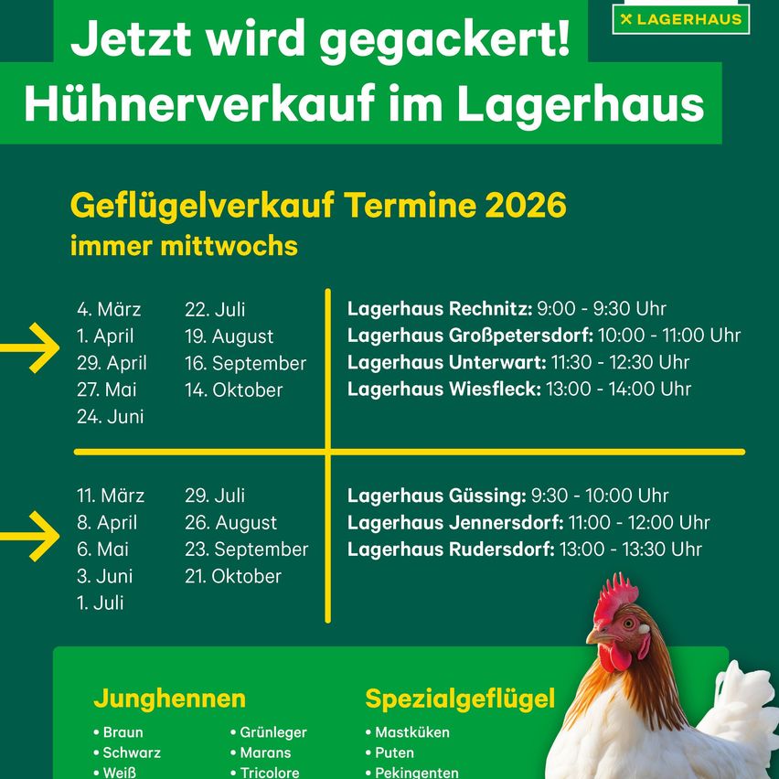 Plakat für Hühnerverkauf im Lagerhaus. Verkaufsdaten und Zeiten für 2026 sind aufgeführt, immer mittwochs. Verfügbare Hühnerrassen sind abgebildet.