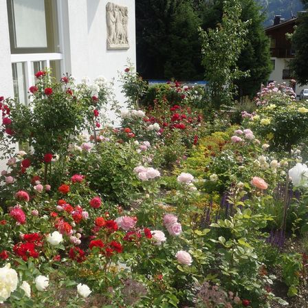 Ein Garten mit einer Vielzahl farbenfroher Rosen und anderer Pflanzen vor einem weißen Gebäude mit einer Skulptur an der Wand.