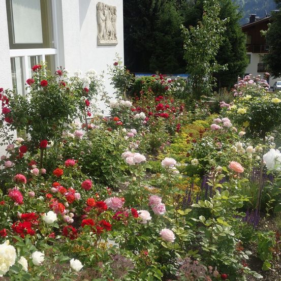 Ein Garten mit einer Vielzahl farbenfroher Rosen und anderer Pflanzen vor einem weißen Gebäude mit einer Skulptur an der Wand.