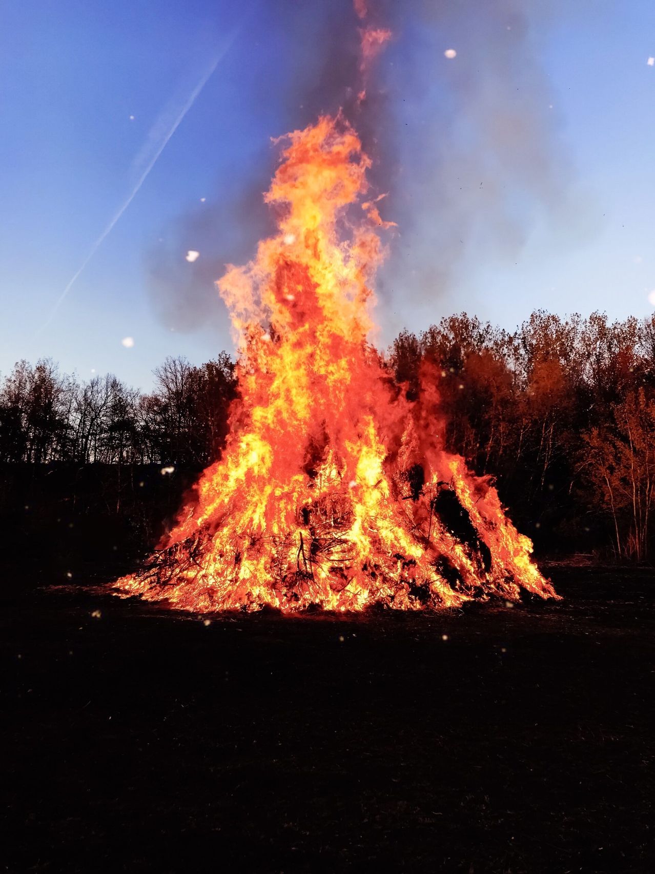 Ein großes Lagerfeuer brennt hell in einer Lichtung, umgeben von kahlen Bäumen unter einem klaren Himmel.