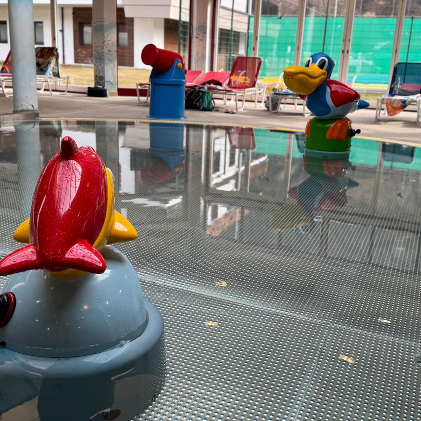 Ein leerer Pool mit nassen Boden und zwei bunten Vogelspielzeug im Wasser. Der Pool ist von Liegestühlen und einem Mülleimer umgeben.