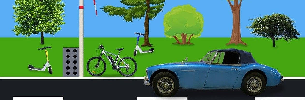 Bild enthält, Grass, Car, Vehicle, Spoke, Tree, Bicycle, Wheel, Vegetation, Alloy Wheel, Lawn