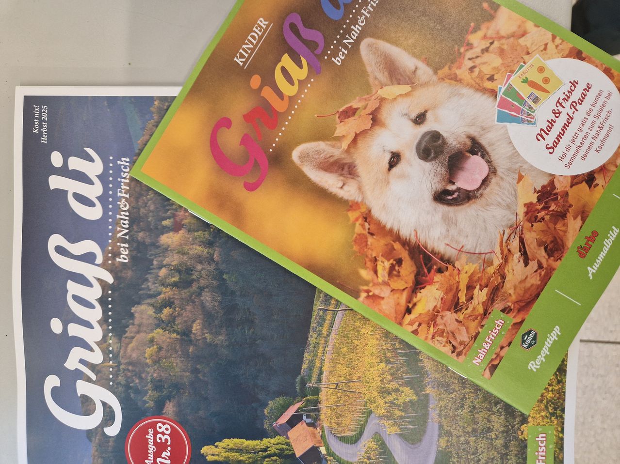 Ein farbenfrohes Magazin mit dem Titel 'Giagua' zeigt einen lächelnden Hund mit Herbstblättern auf dem Kopf, auf einem anderen Magazin platziertes.