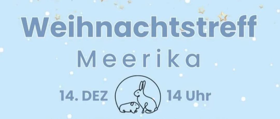 Plakat für eine Weihnachtsveranstaltung in Meerika. Die Veranstaltung findet am 14. Dezember um 14 Uhr statt. Der Ort ist Vorstadt 21&23, 2820 Walpersbach. Es gibt eine Live-Band, OUT OF ORDER, die spielt. Es gibt Kaninchen und eine Tasse Kaffee im Schnee.