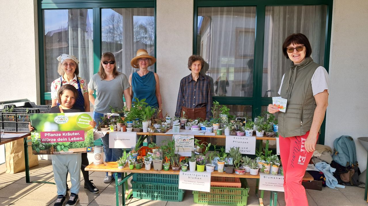 Vier Frauen stehen vor einem Tisch mit Topfpflanzen. Sie lächeln und scheinen auf einem Markt zu sein. Die Pflanzen sind in verschiedenen Größen und Farben, und einige haben Schilder. Der Hintergrund zeigt ein Gebäude mit Fenstern.
