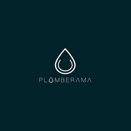 Ein Logo mit einem Wassertropfen-Symbol über dem Wort 'PLOMBERAMA' in weißer Schrift auf einem dunkelgrünen Hintergrund.