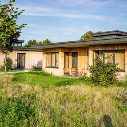 Two wooden houses with a flat roof are surrounded by grass and bushes. A wooden chair and table are outside one of the houses.