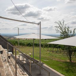 A scenic outdoor area with wooden benches and large umbrellas. Behind it is a vineyard and a tree. The sky is cloudy.