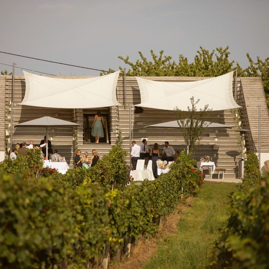 Ein Weingut-Event mit Gästen in einem modernen Gebäude, weiße Vordächer bieten Schatten über Tischen und Stühlen, eine Frau schaut aus der Tür.
