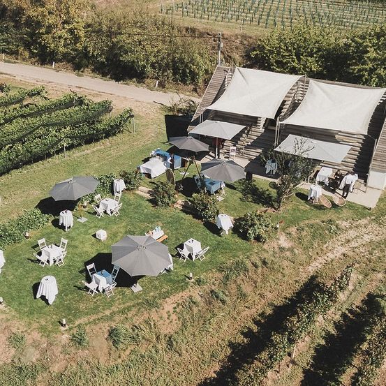 Eine Draufsicht auf eine Hochzeitsfeier im Freien mit weißen Tischen und Stühlen, die auf einer Wiese unter großen Sonnenschirmen angeordnet sind. Die Umgebung umfasst ein Holzhaus mit Markisen und einem Weinberg im Hintergrund.