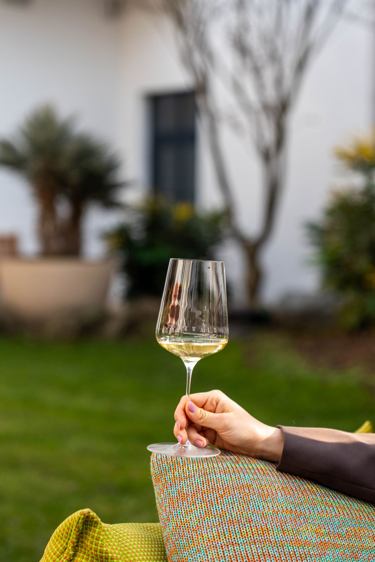 Eine Person hält ein Weinglas mit Weißwein gefüllt, auf einem grünen Rasen mit einem Gebäude und Pflanzen im Hintergrund.