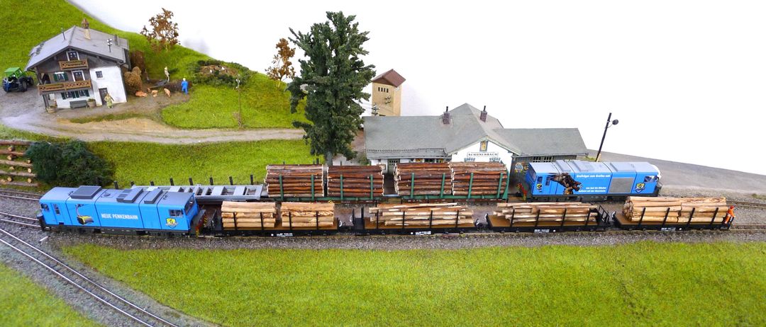 Ein Modellzug mit mehreren Waggons, die Baumstämme auf einer Strecke transportieren, in einer landschaftlichen Umgebung mit einem Bahnhof namens Schonenbach.