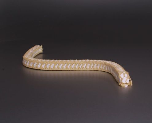 Bild enthält, Animal, Reptile, Snake