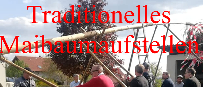 Maibaumaufstellen 