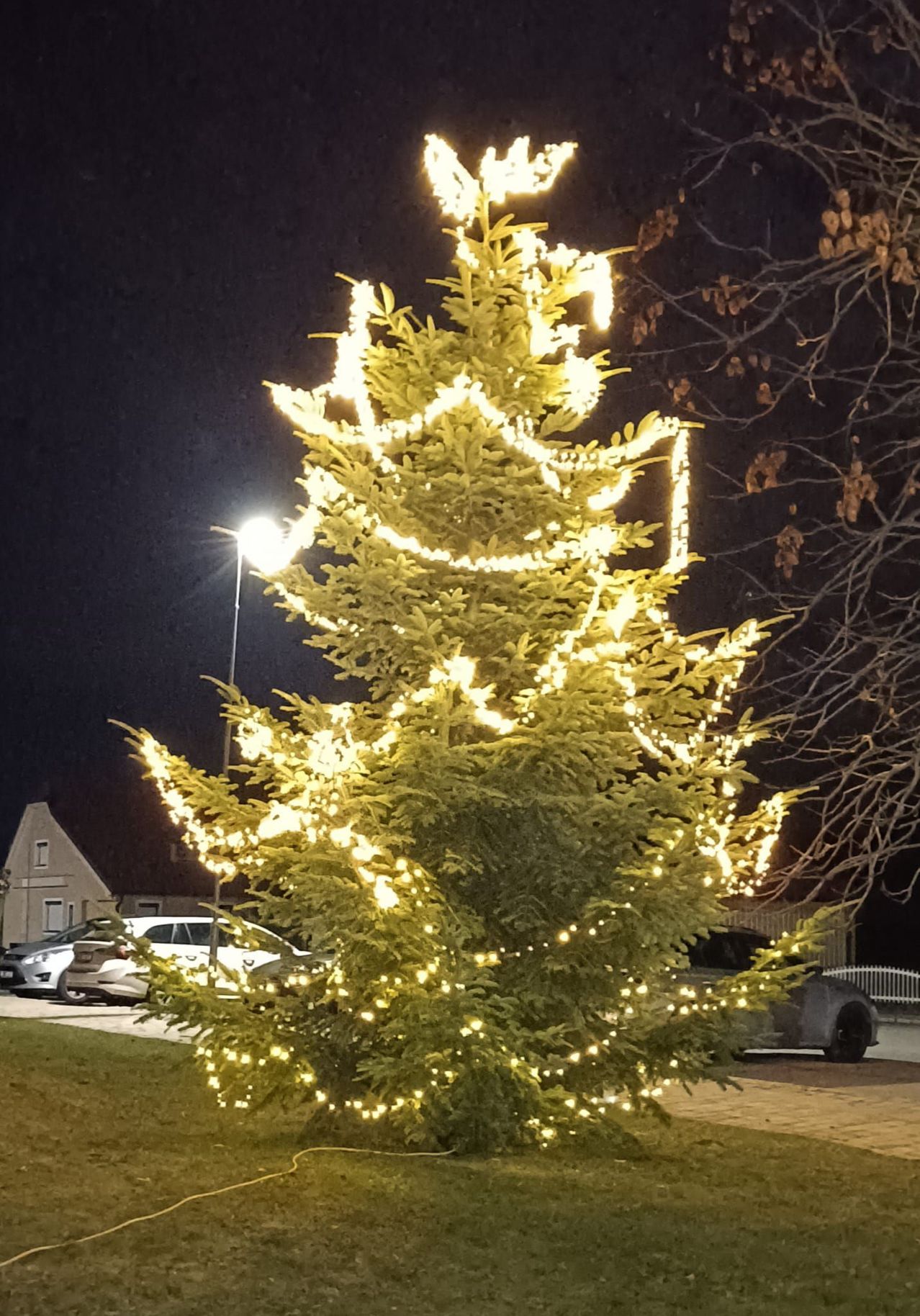 Ein mit gelben Lichtern geschmückter Weihnachtsbaum steht in einem dunklen Außenbereich, in der Nähe geparkter Autos und eines Hauses, unter einer Straßenlaterne.