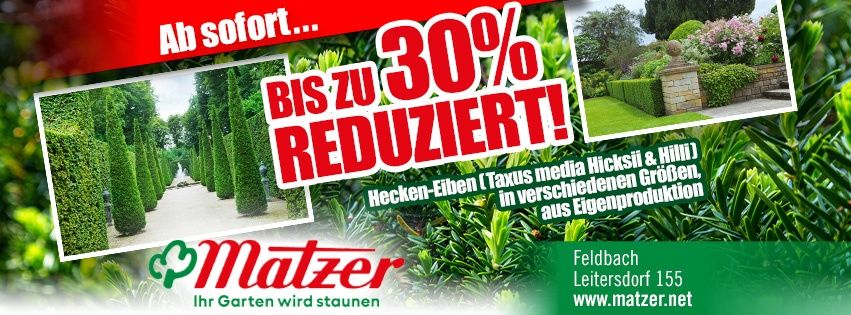 Gartenwerbung mit verschiedenen Hecken und Pflanzen. 'BIS ZU 30% REDUZIERT!' ist prominent angezeigt. Firmenname 'Matzer' und Standort 'Feldbach Leitersdorf 155'. Webseite 'www.matzer.net'.