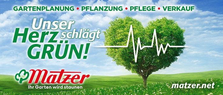 Werbeposter für Matzer mit einem herzförmigen Baum, einer Herzschlaglinie, einem grünen Feld und einem blauen Himmel. Der Text lautet 'Unser Herz schlägt GRUEN!' mit Dienstleistungen wie Planung, Pflanzung, Pflege und Verkauf.