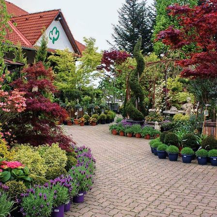 Ein Gartencenter mit verschiedenen Pflanzen und Bäumen, einschließlich einer roten Ahorn, umgeben von gepflasterten Wegen.