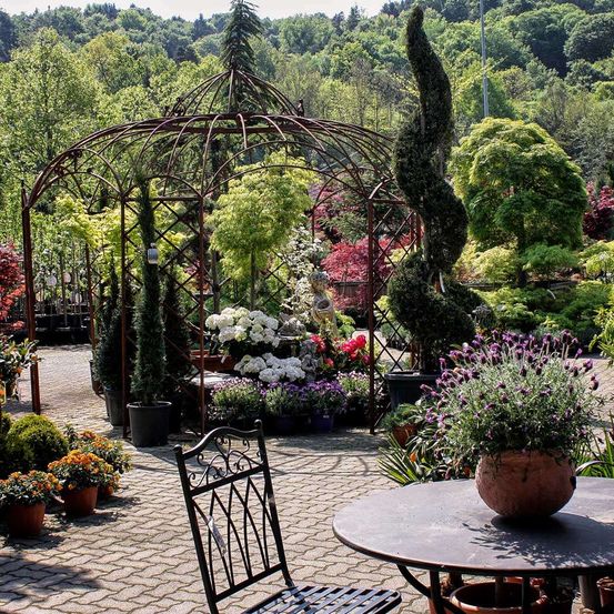 Ein Garten mit verschiedenen Pflanzen, Blumen und Bäumen. Ein metallischer Pavillon, ein Tisch mit einer Pflanze und ein Stuhl. Üppige Grünflächen und eine friedliche Atmosphäre.