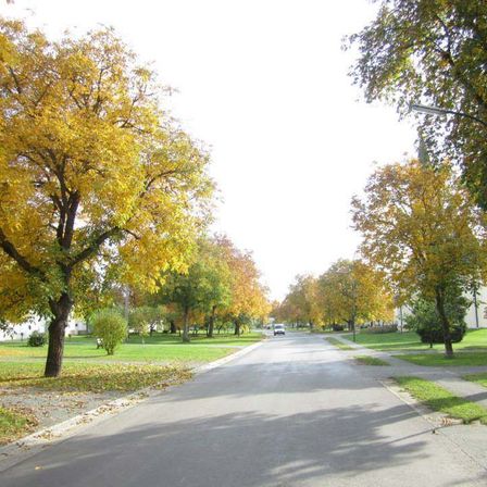 Eine leere Straße gesäumt von Bäumen und Gras, mit einem Auto in der Ferne, an einem sonnigen Tag.