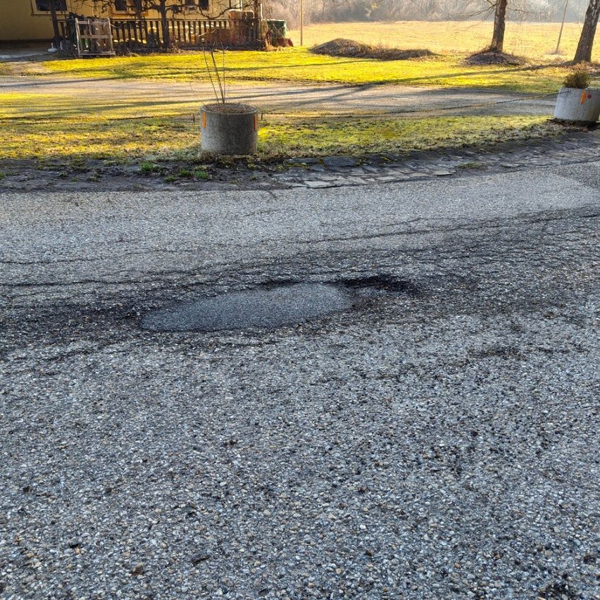 A street with a large pothole in the center. Two potted plants are on the side, near a house and a grassy area.