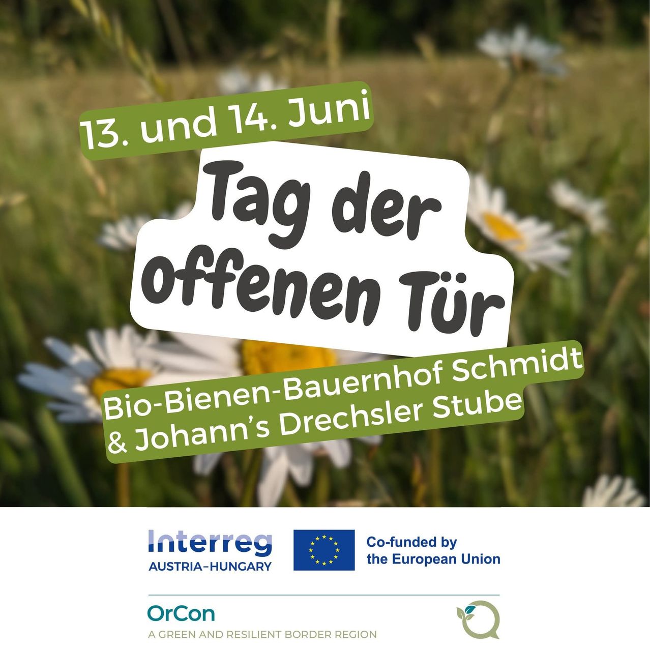 Poster advertising the Open Door Day on June 13th and 14th at a bio-bee farm featuring daisies and Interreg Austria-Hungary logos.